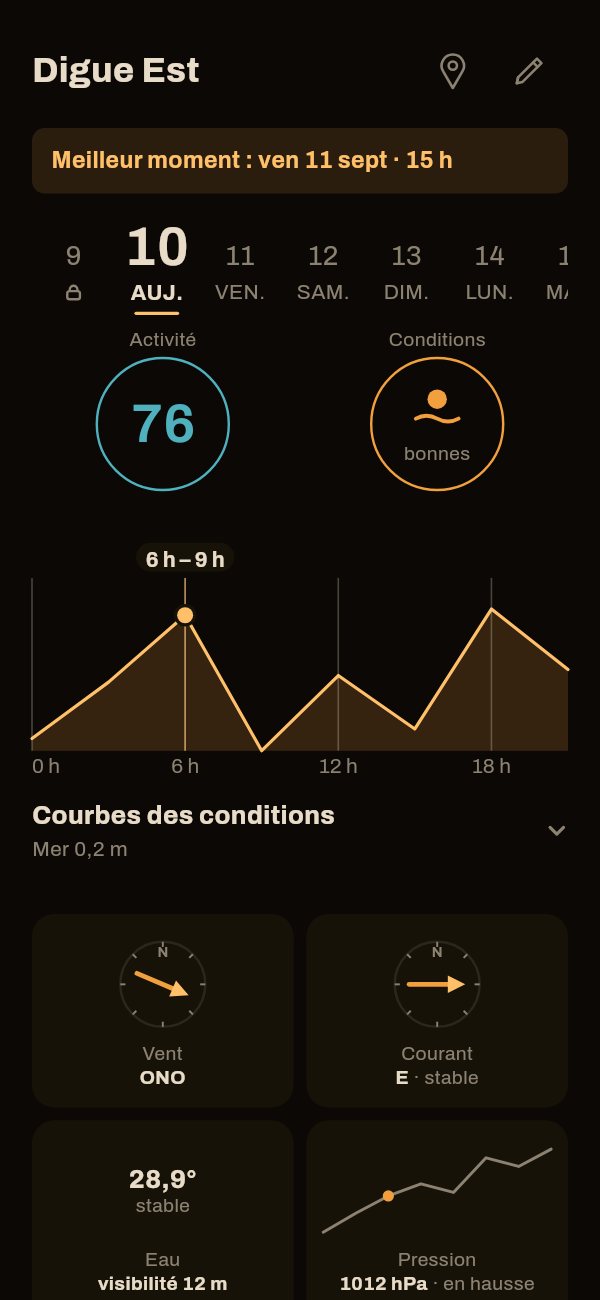L'app Capofish en thème de nuit : la même fiche de spot, sur fond sombre — les chiffres en bleu, le reste en ambre.